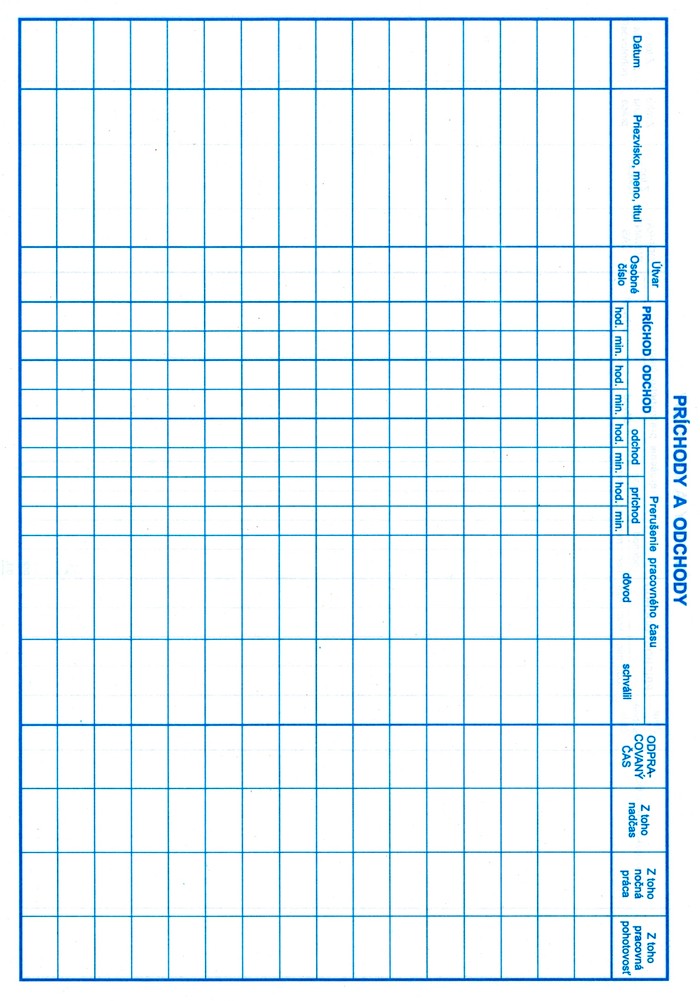 KNIHA PRICHODOV A ODCHODOV A4           (30)