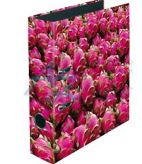 PORADAC A4 HERLITZ 8cm PITAYA